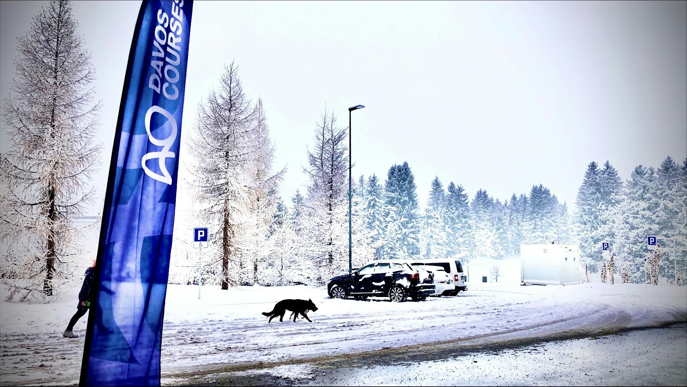 Invibio at AO Davos Trauma Courses 2022