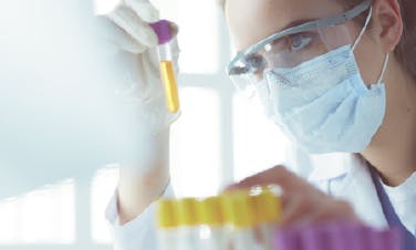 Compliance Quality  Mobile