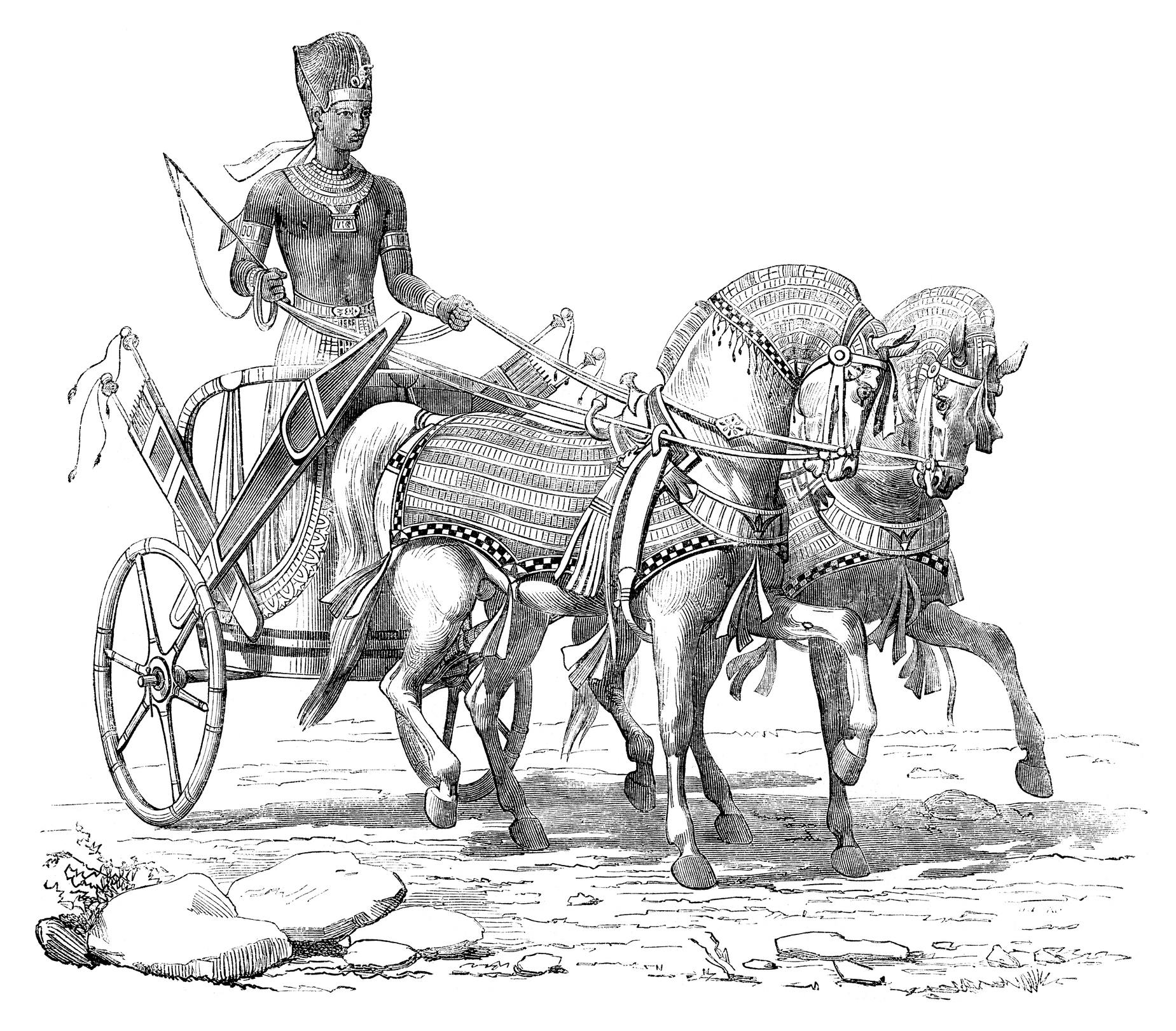 Egyptian chariot use of lubrican